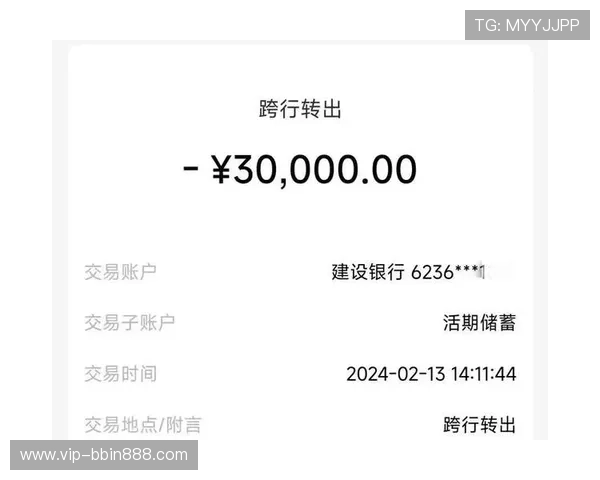 BBIN网站支付方式多样化实现快速便捷的资金转入转出