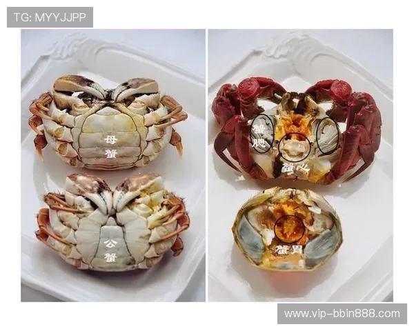 三公大吃小常见误区及避免方法帮助玩家稳步提升水平