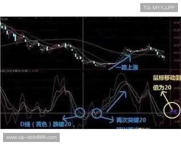 深入分析龙虎斗公式的原理与应用技巧，助你在游戏中稳操胜券